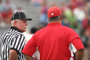 开云体育入口-瑞士完胜瑞典，费兰·托雷斯完成帽子戏法，展现巅峰状态