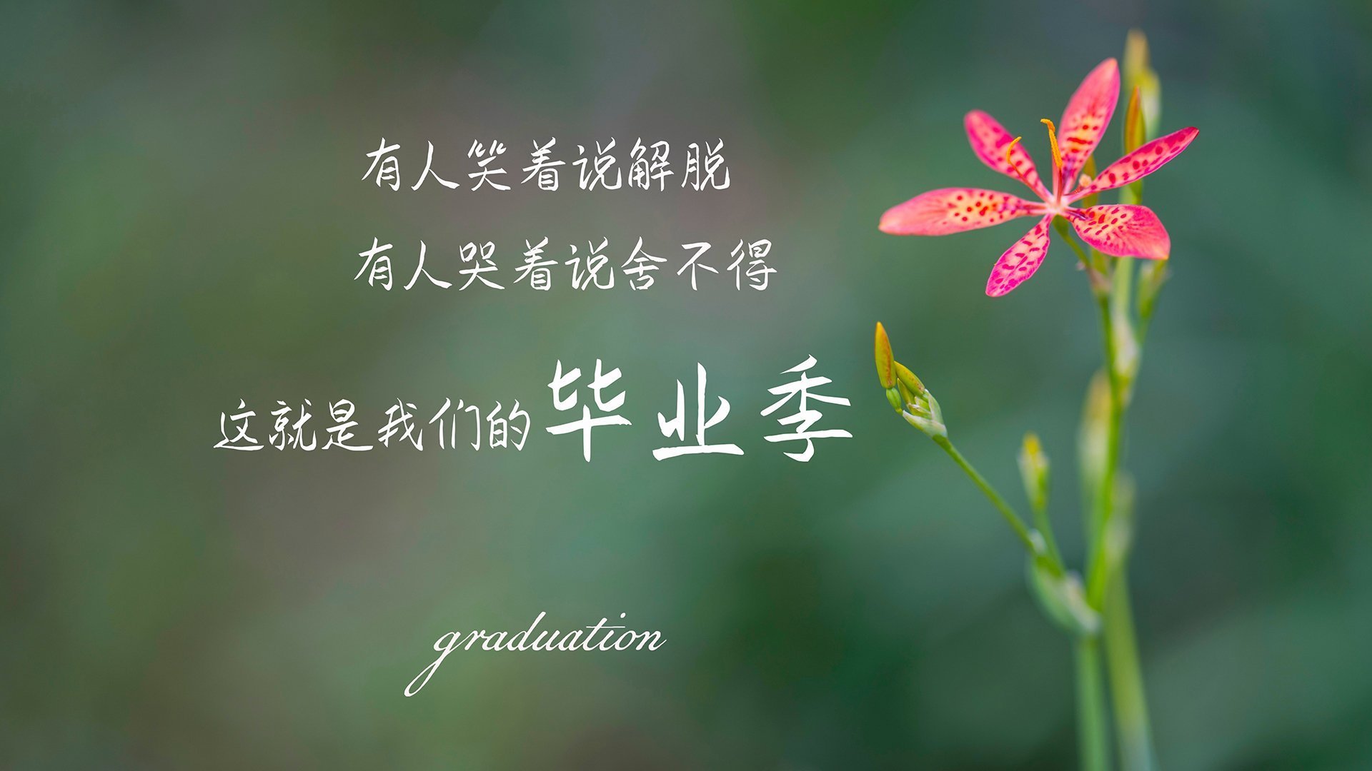 开云体育中国-48分钟攻防交响诗！热火以绞杀式防守强行终结上海，戈贝尔化身禁区终极答案